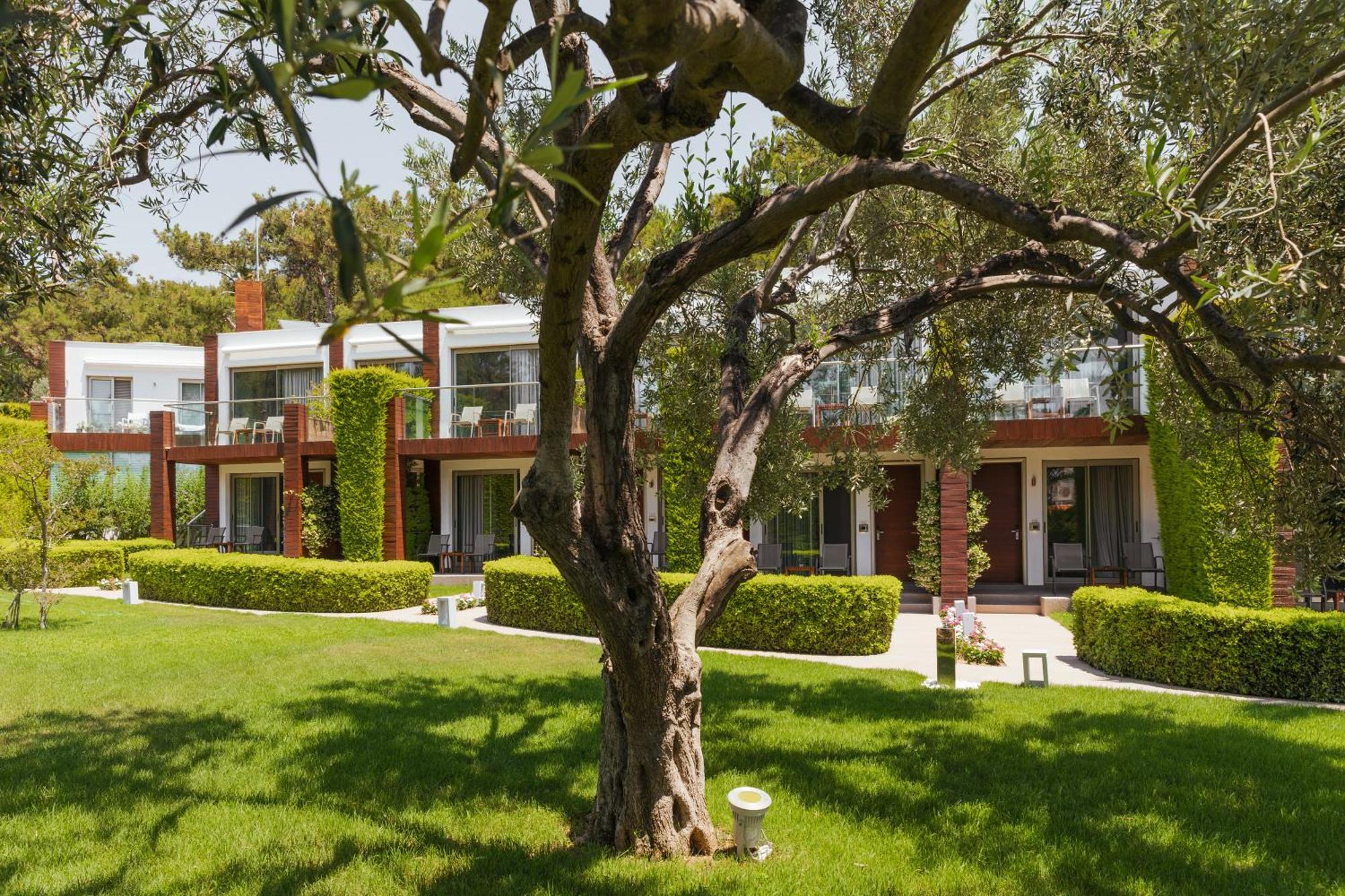 Ortunc Hotel - Cunda Island (Adults Only) Ayvalik Exterior foto