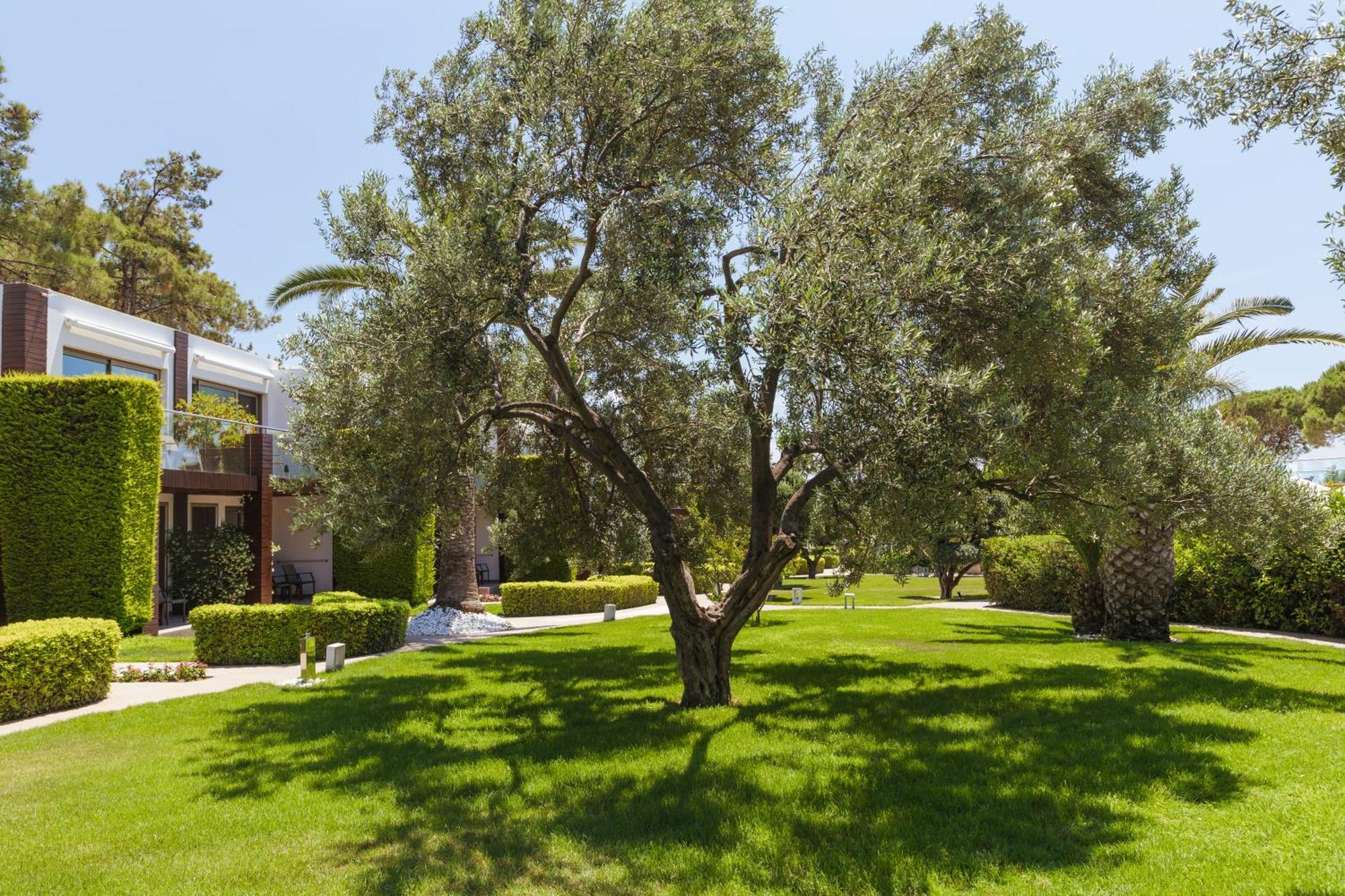Ortunc Hotel - Cunda Island (Adults Only) Ayvalik Exterior foto