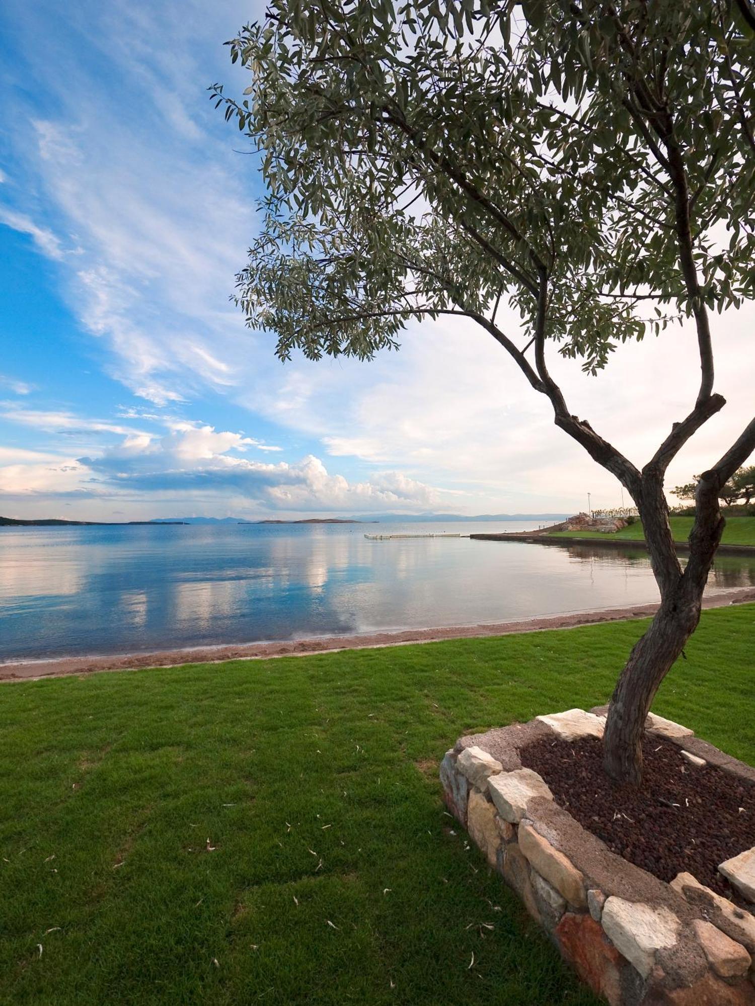 Ortunc Hotel - Cunda Island (Adults Only) Ayvalik Exterior foto